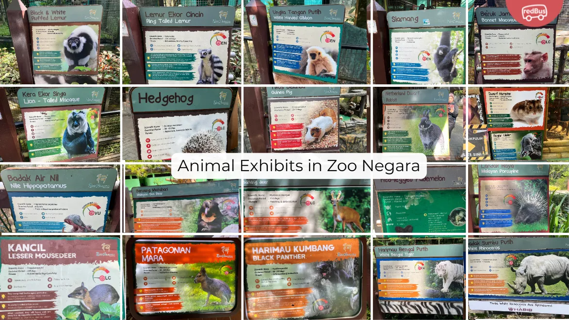 Animal Exhibits In Zoo Negara